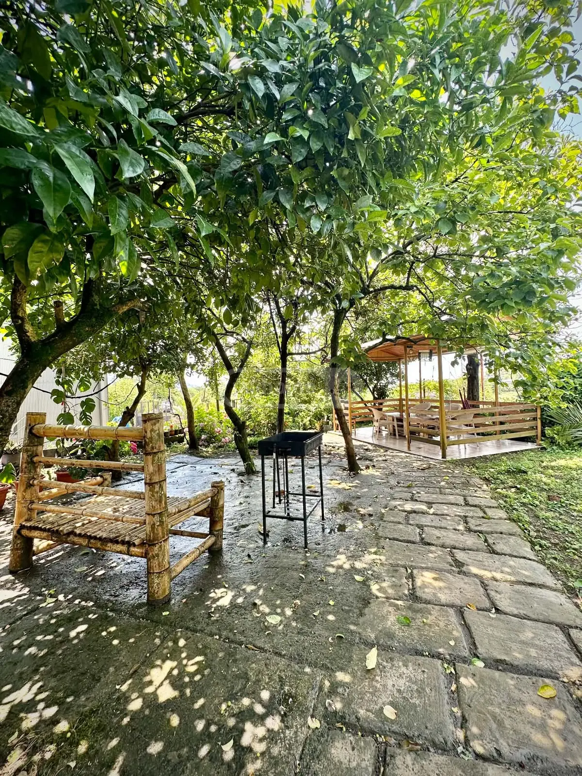 3 Room Private House For Rent In Buknari, In Kobuleti Municipality view 3