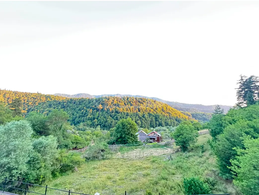 8 Room Private House For Sale view 9