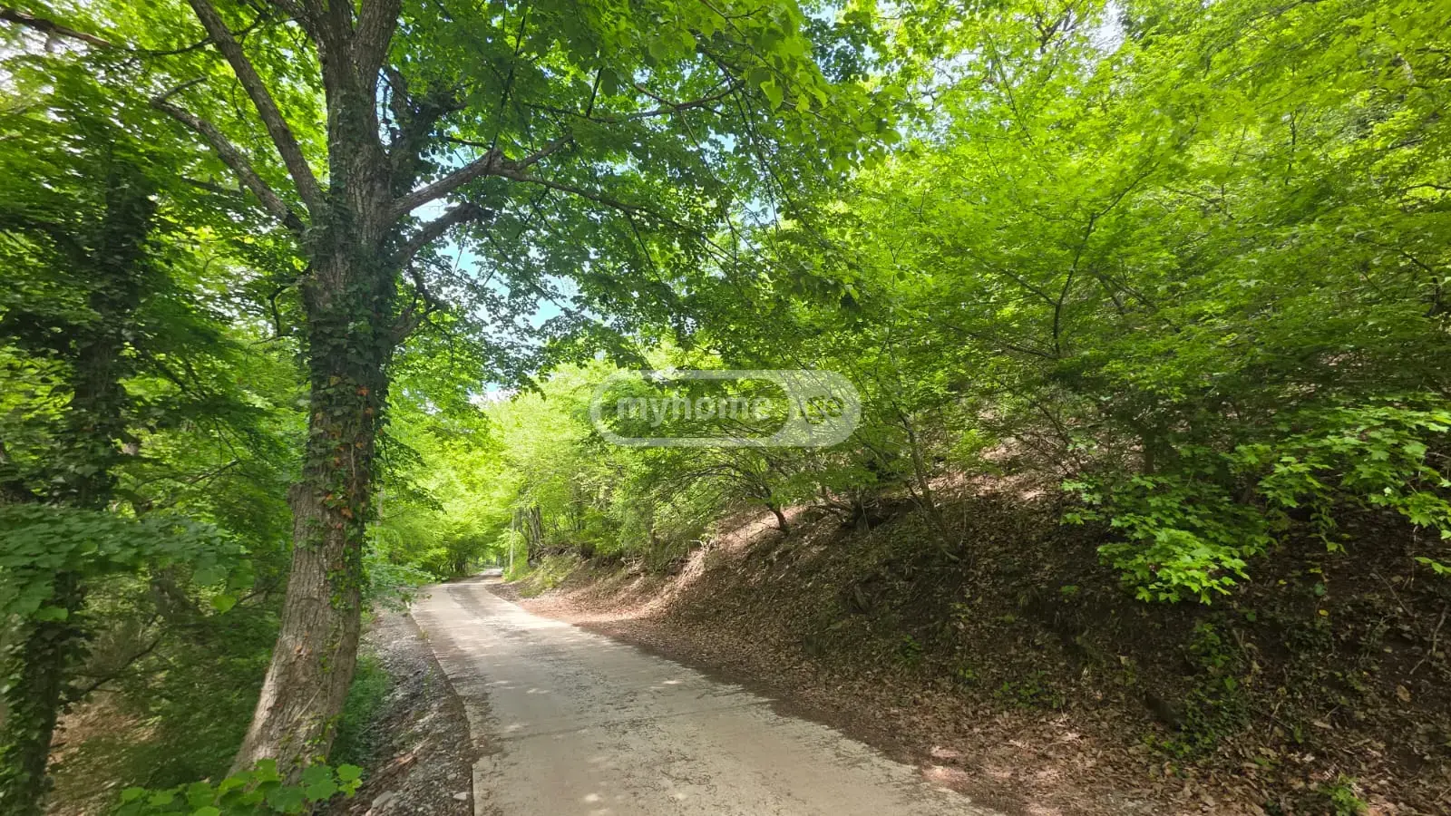 7 Room Private House For Sale view 6