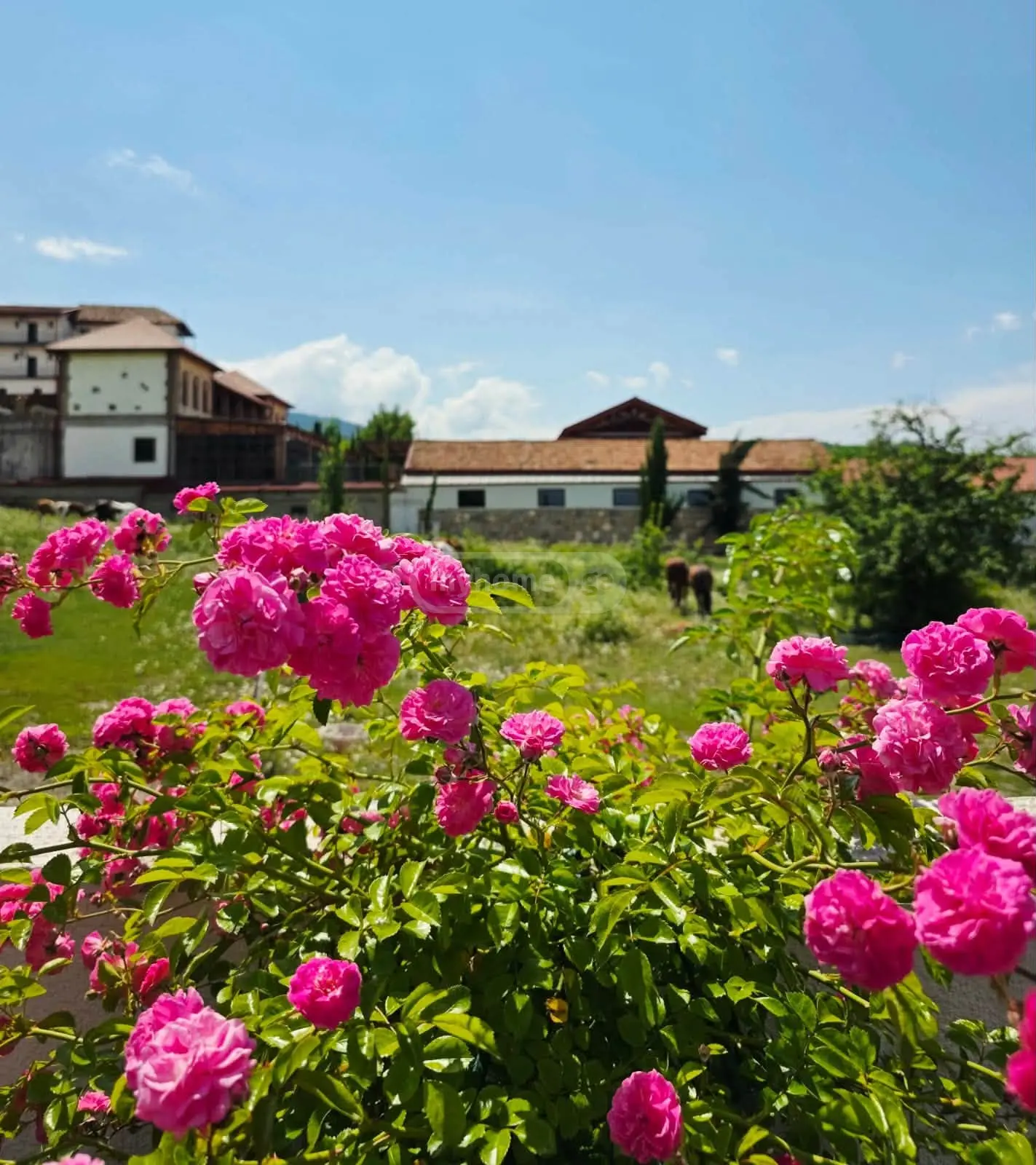 3 Room Country House For Sale view 8