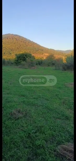 Agricultural Plot For Sale In Chabano, In Tianeti Municipality view 1