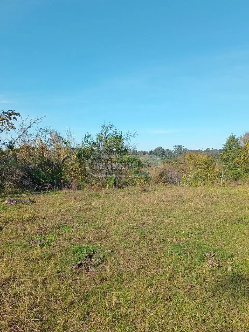 Non-Agricultural Plot For Sale In Kobuleti view 1
