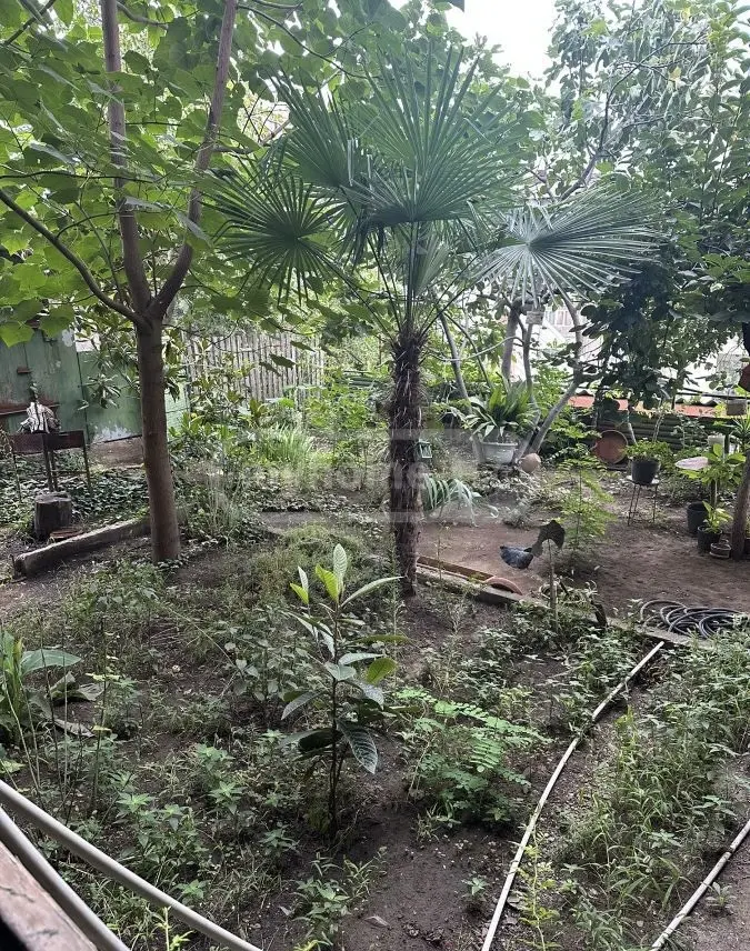 8 Room Private House For Sale view 9