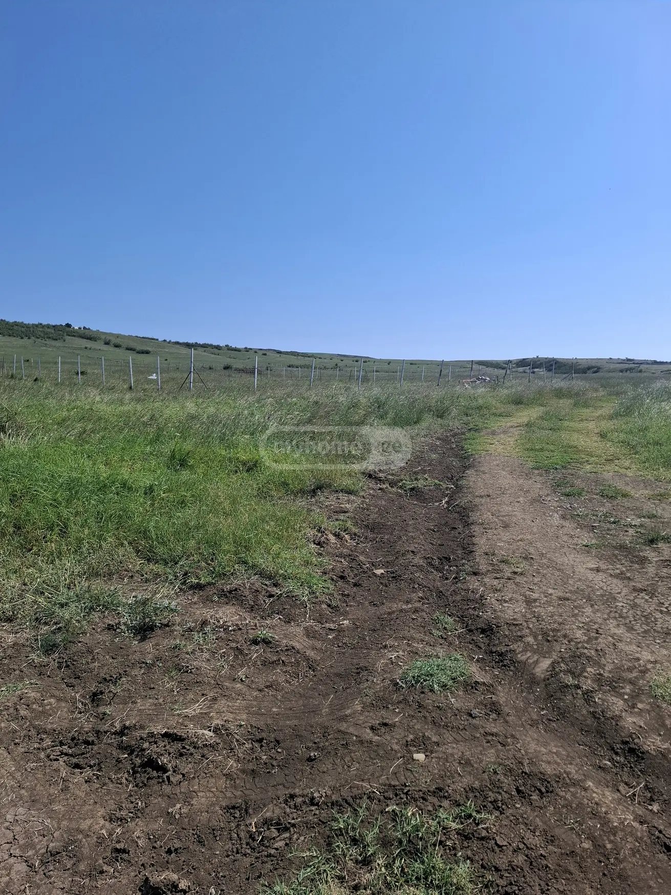Agricultural Plot For Sale In Varketili view 5