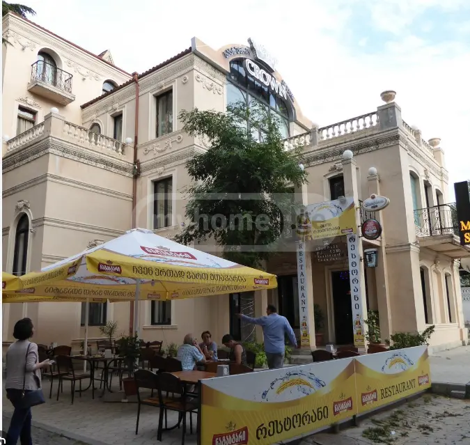 Full Building Commercial Area For Sale In Signagi view 6