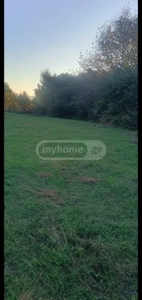 Agricultural Plot For Sale In Chabano, In Tianeti Municipality view 4