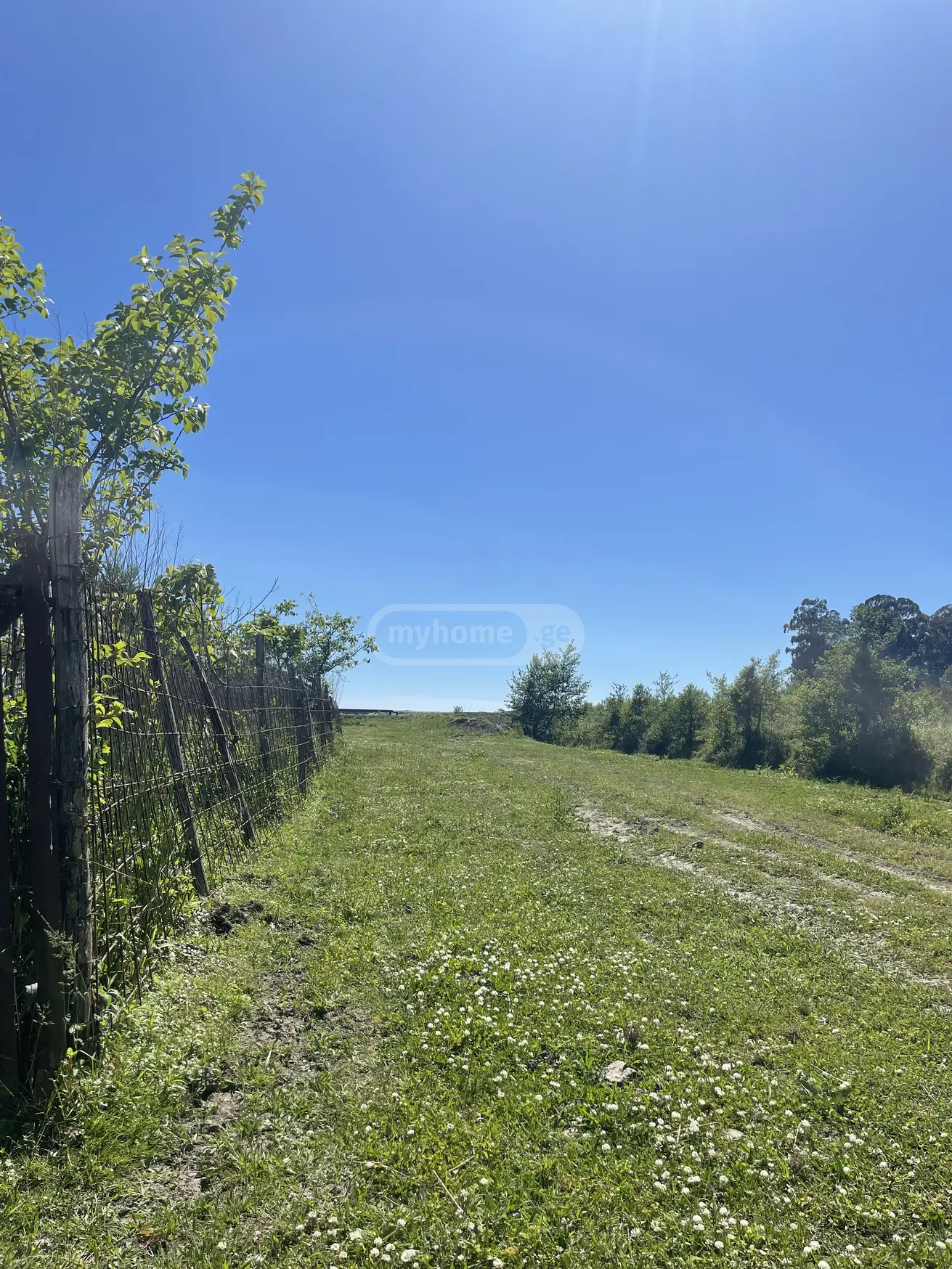 იყიდება Agricultural Plot In Anaklia, In Zugdidi Municipalityში view 3