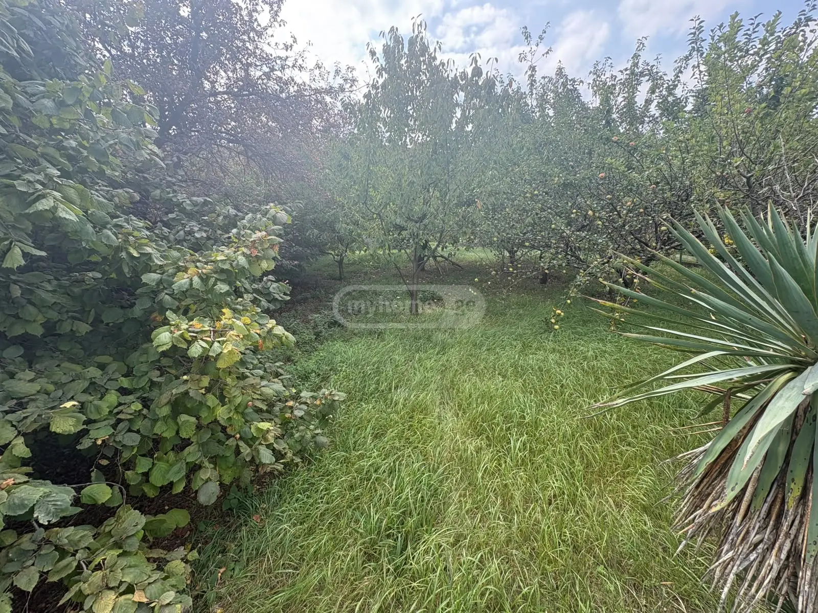 5 Room Country House For Sale view 12