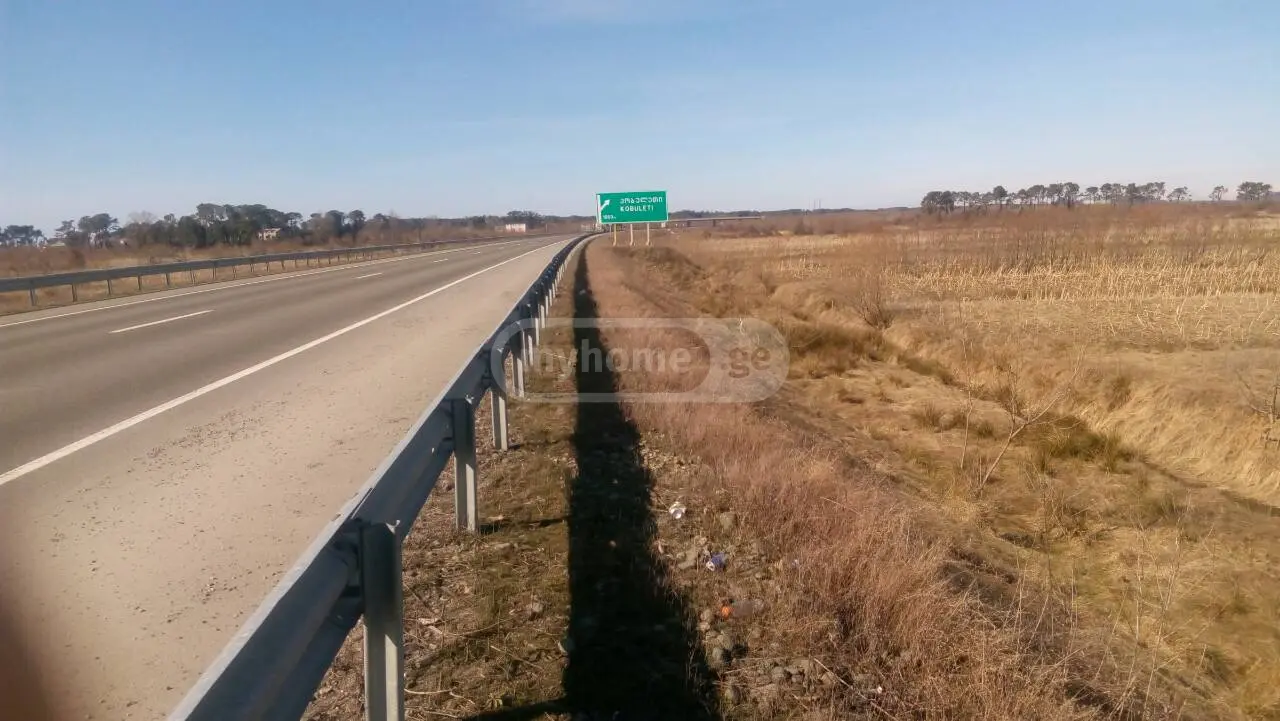 Agricultural Plot For Sale In Shekvetili, In Ozurgeti Municipality view 2