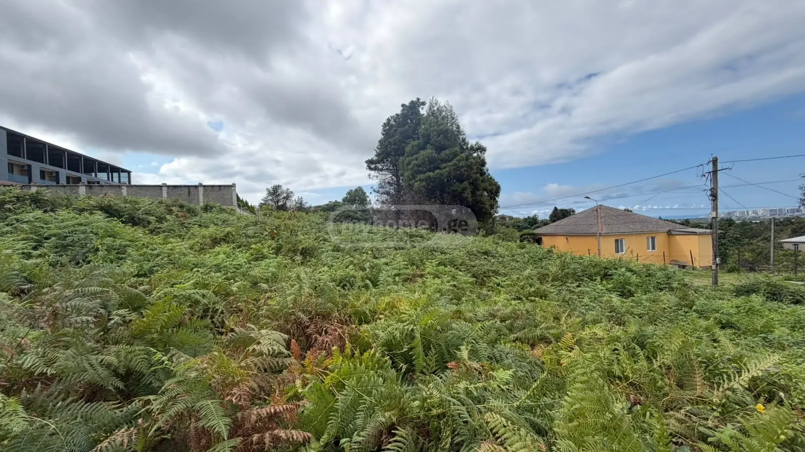 Non-Agricultural Plot For Sale Aeroportis Ubani, In Batumi view 6