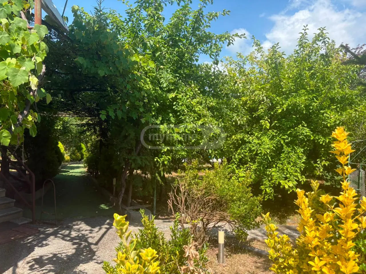 5 Room Country House For Sale view 3