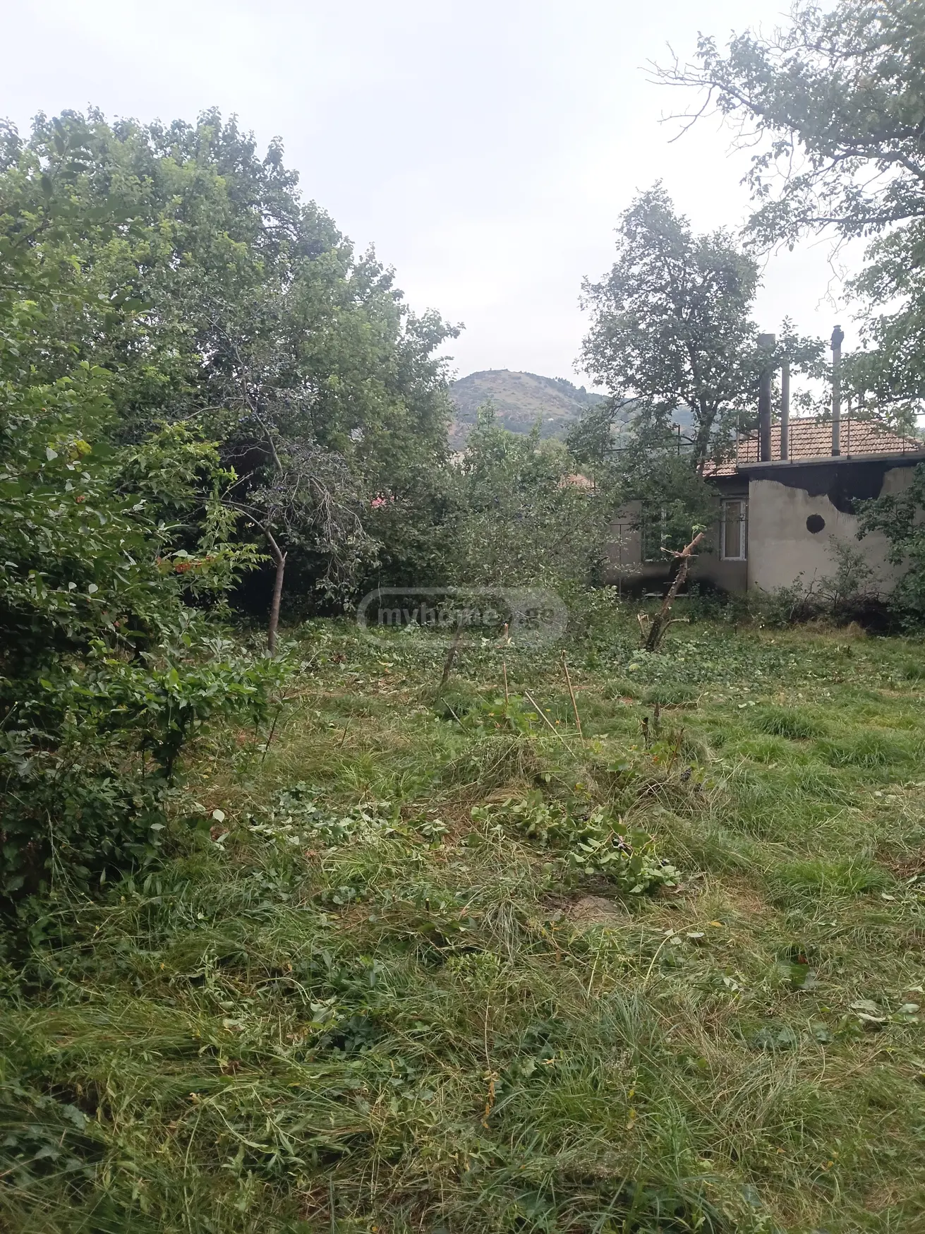 5 Room Country House For Sale view 15