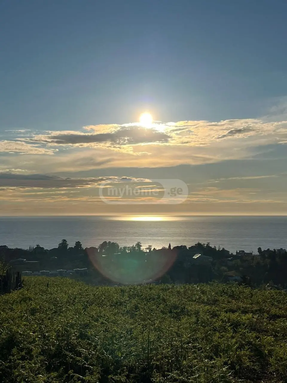 Non-Agricultural Plot For Sale In Chaqvi, In Kobuleti Municipality view 3