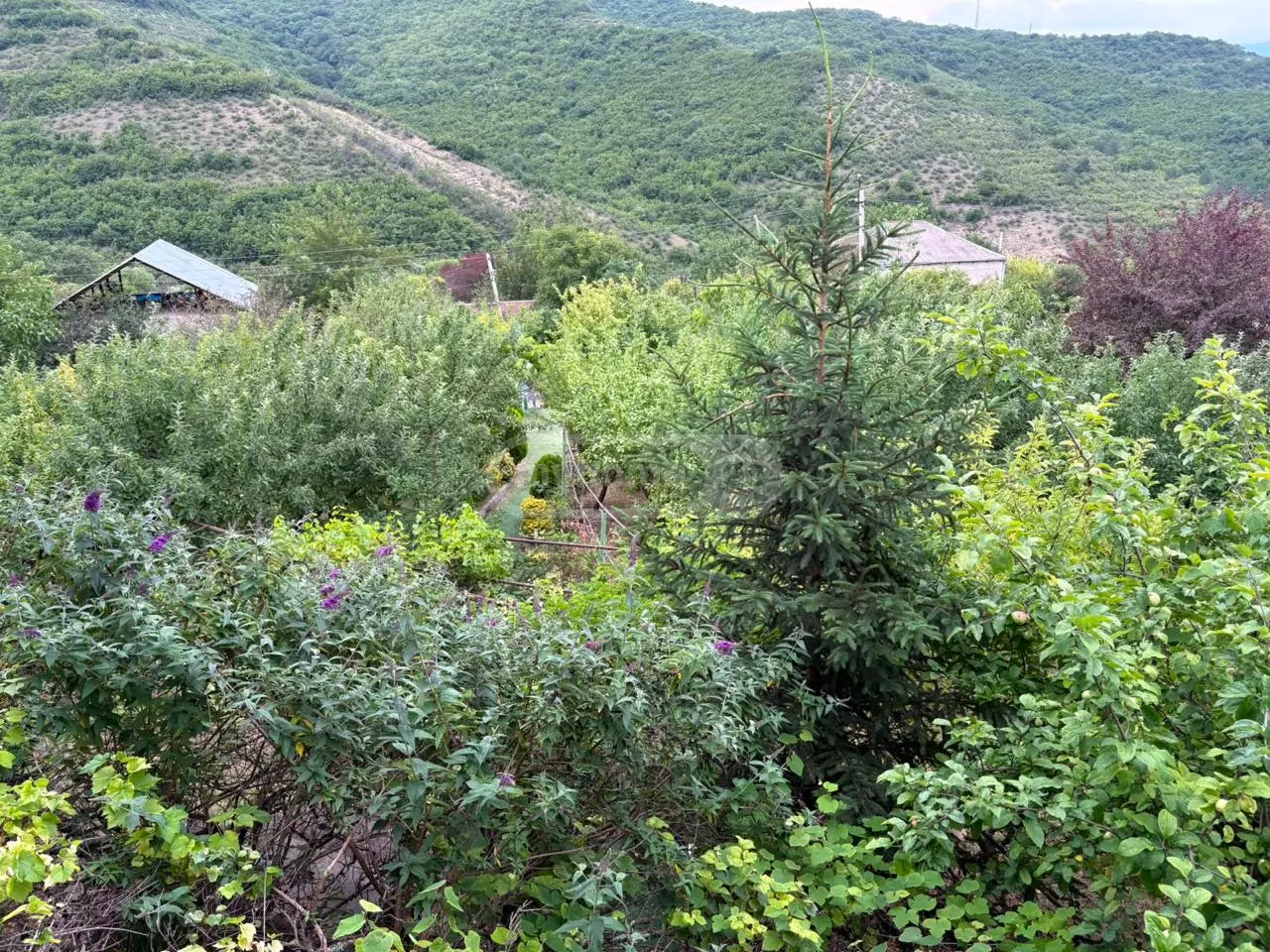 5 Room Country House For Sale view 6