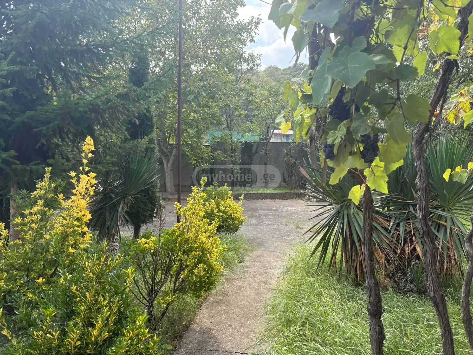 5 Room Country House For Sale view 7