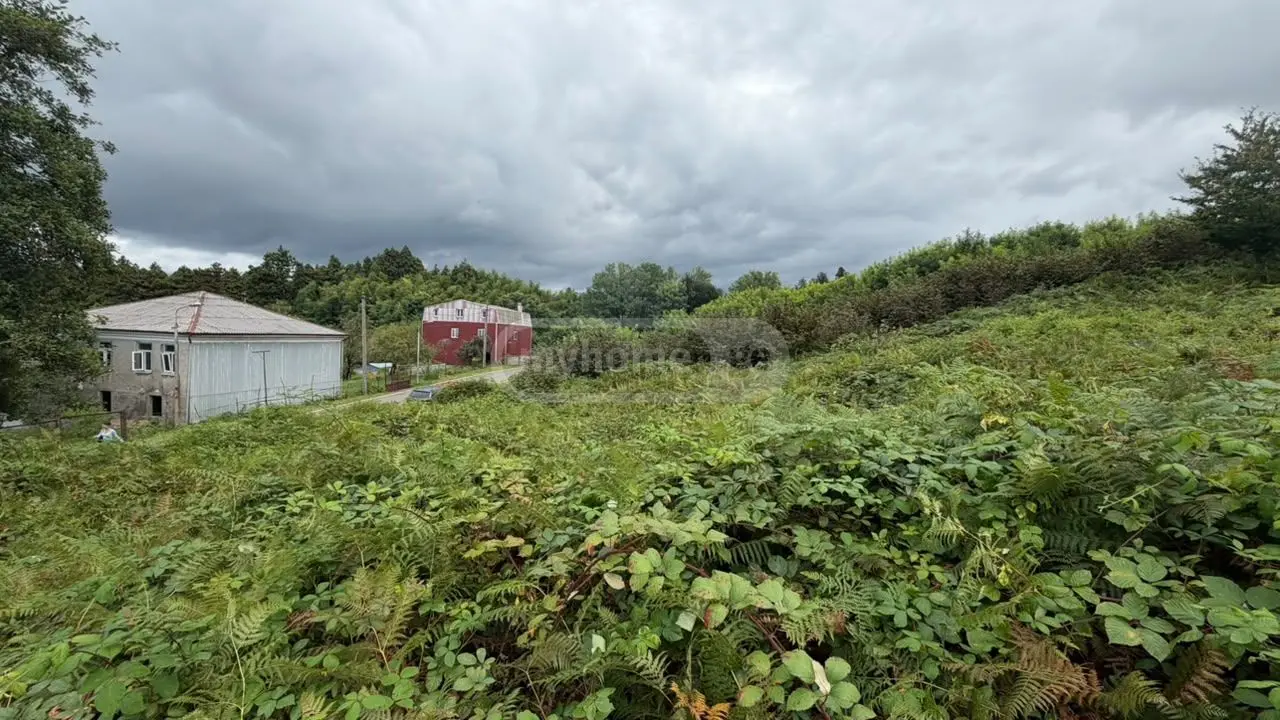 Non-Agricultural Plot For Sale Aeroportis Ubani, In Batumi view 8