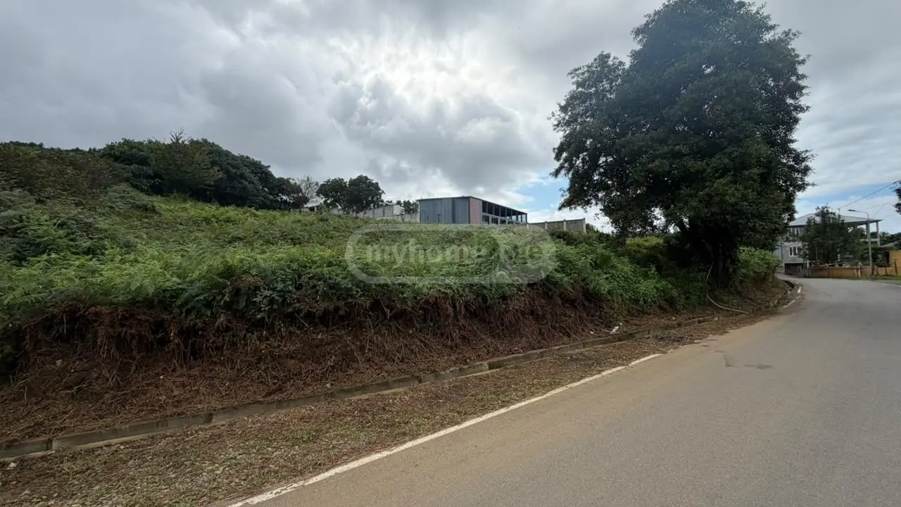 Non-Agricultural Plot For Sale Aeroportis Ubani, In Batumi view 1