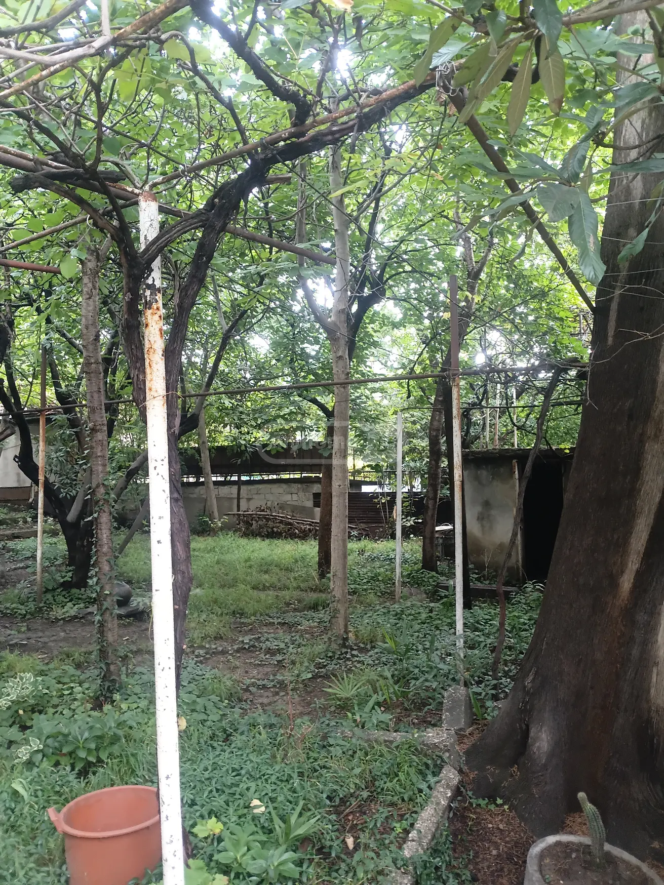5 Room Country House For Sale view 8