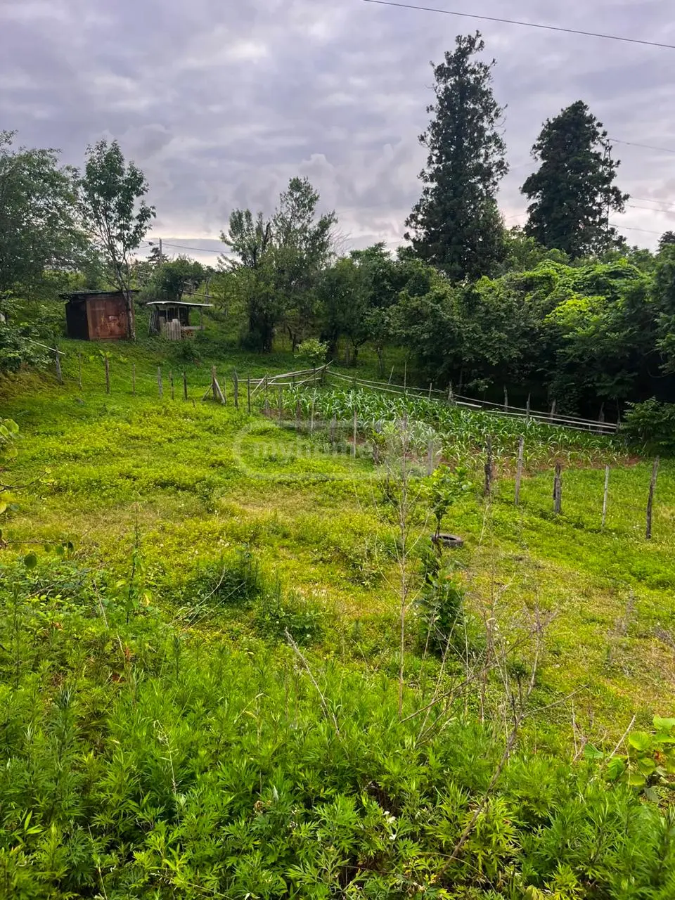 Non-Agricultural Plot For Sale In Chaqvi, In Kobuleti Municipality view 2