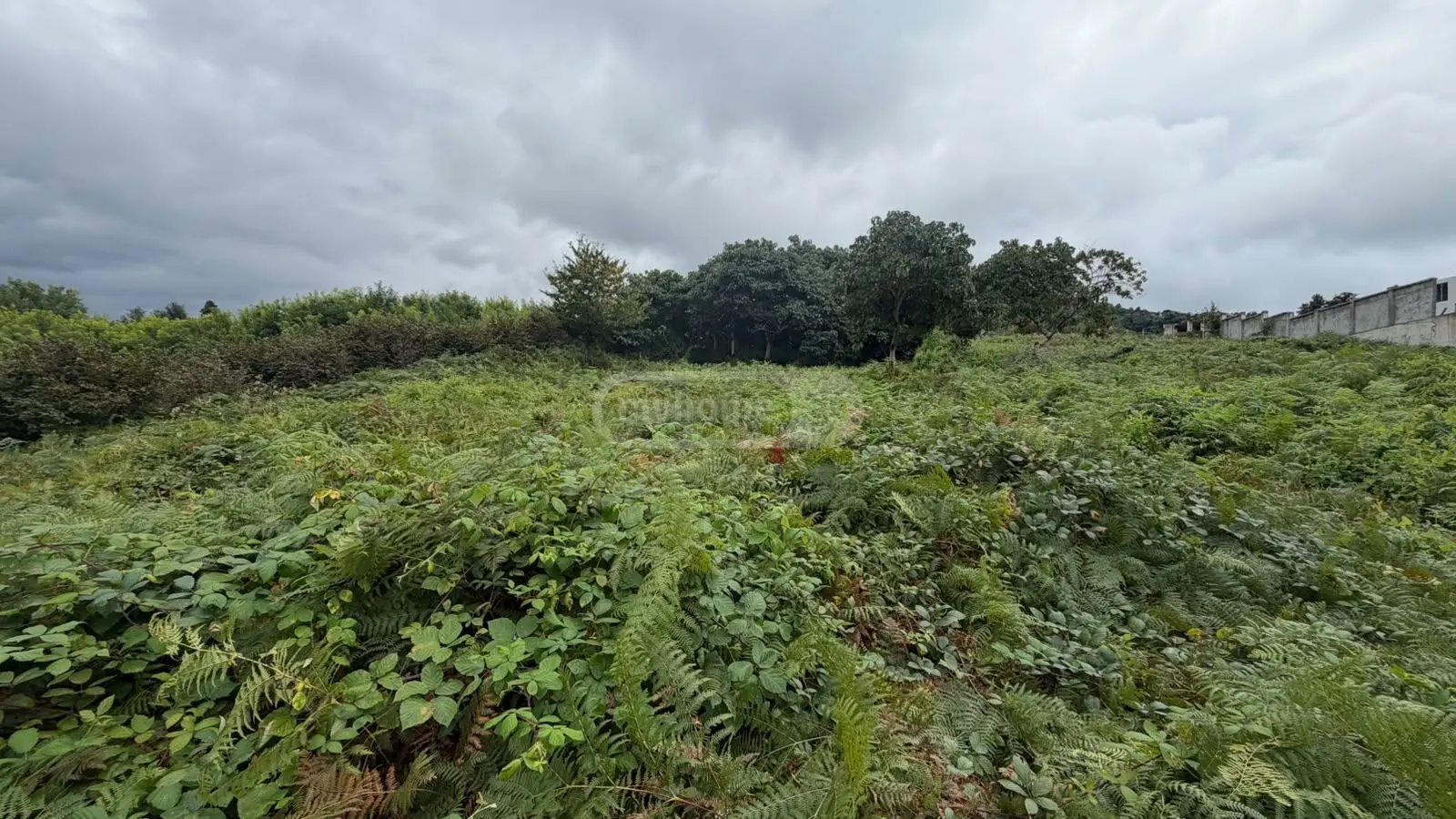 Non-Agricultural Plot For Sale Aeroportis Ubani, In Batumi view 4