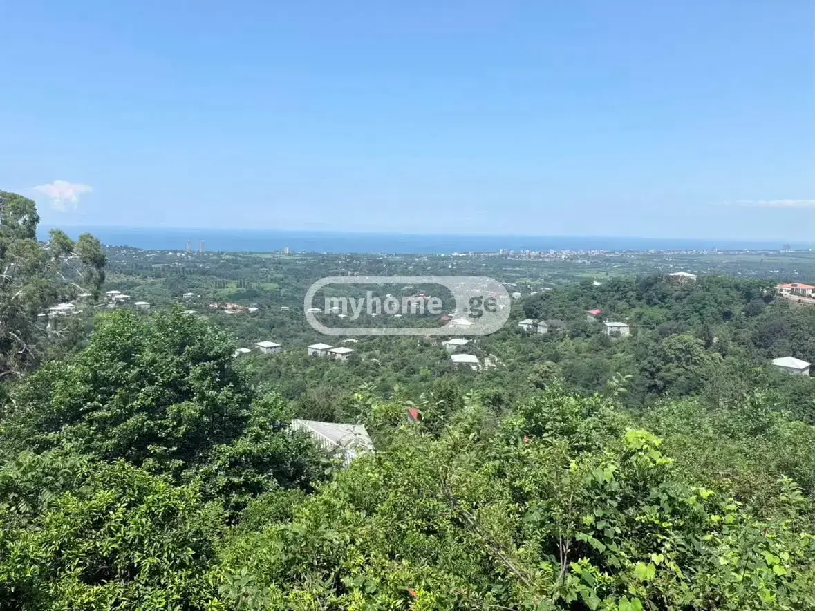 10+ Room Country House For Sale In Kvirike, In Kobuleti Municipality view 4