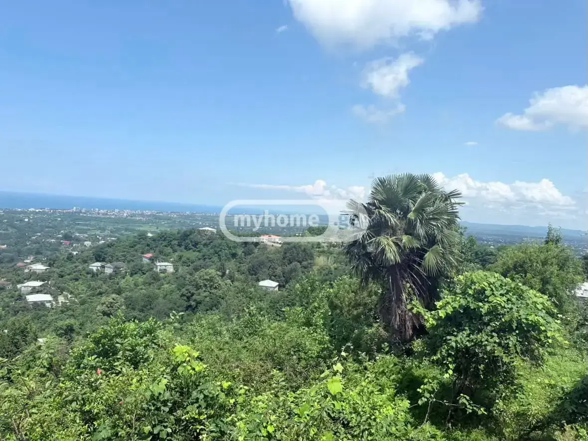 10+ Room Country House For Sale In Kvirike, In Kobuleti Municipality view 12