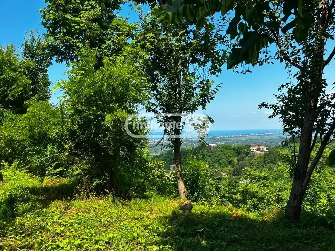 10+ Room Country House For Sale In Kvirike, In Kobuleti Municipality view 13