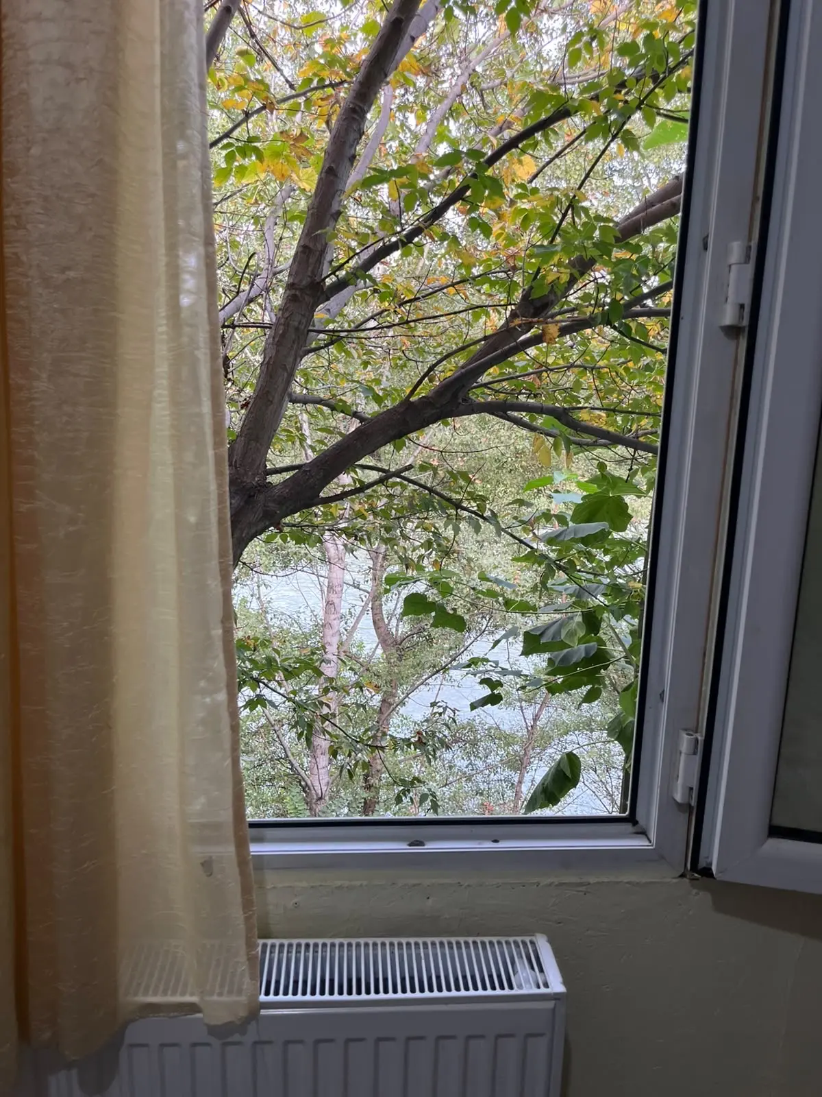 1 Room Hotel Daily Rent In Digomi view 5