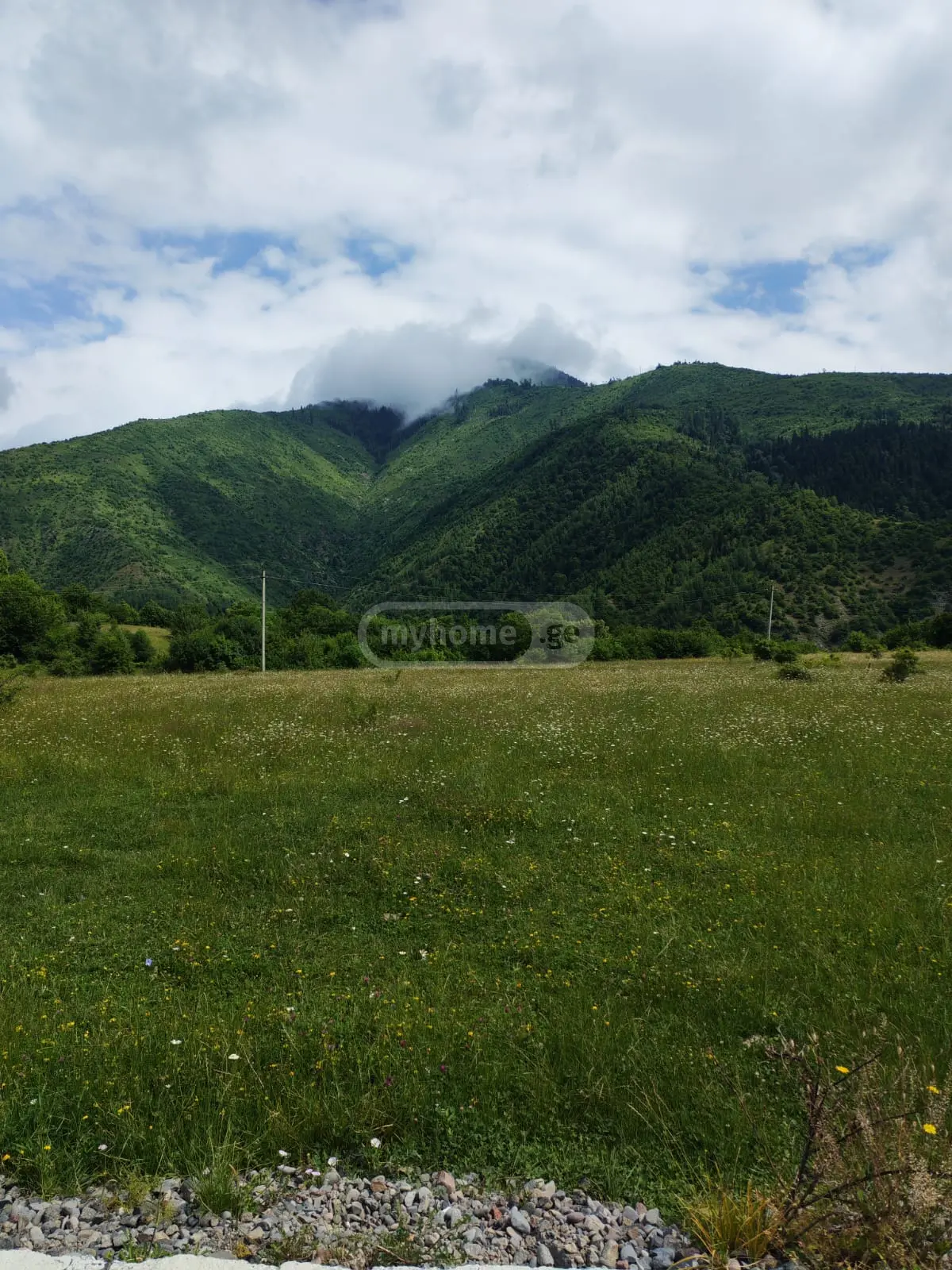 Agricultural Plot For Sale In Tsemi, In Borjomi Municipality view 1