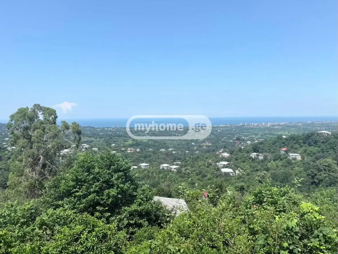 10+ Room Country House For Sale In Kvirike, In Kobuleti Municipality view 3