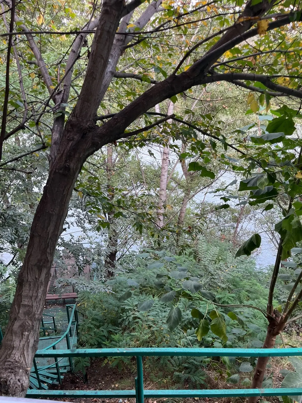 1 Room Hotel Daily Rent In Digomi view 7