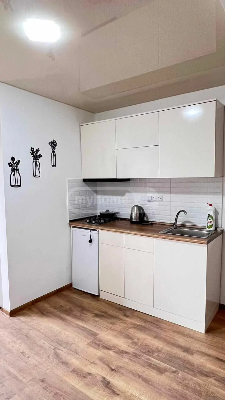 2 Room Private House For Rent Sapichkhia, In Qutaisi view 5