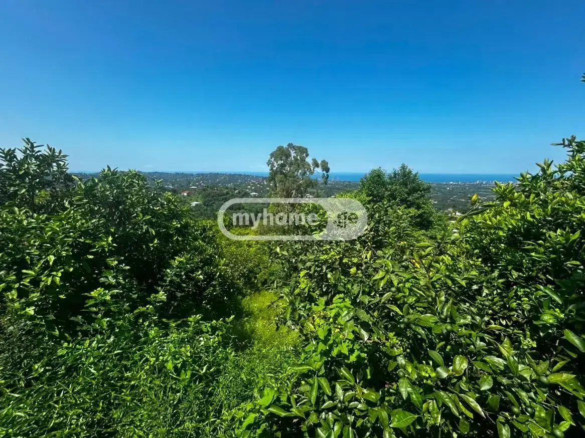 10+ Room Country House For Sale In Kvirike, In Kobuleti Municipality view 7