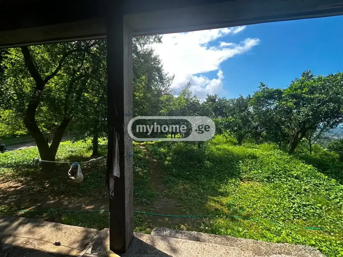 10+ Room Country House For Sale In Kvirike, In Kobuleti Municipality view 9
