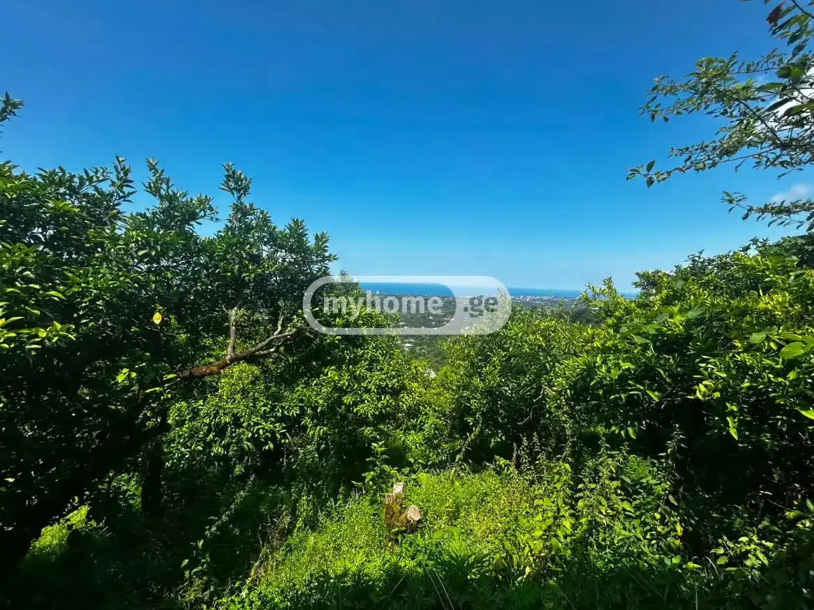 10+ Room Country House For Sale In Kvirike, In Kobuleti Municipality view 8