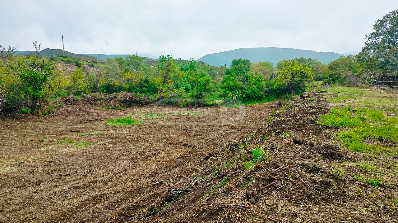 Agricultural Plot For Sale In Mtskheta view 3
