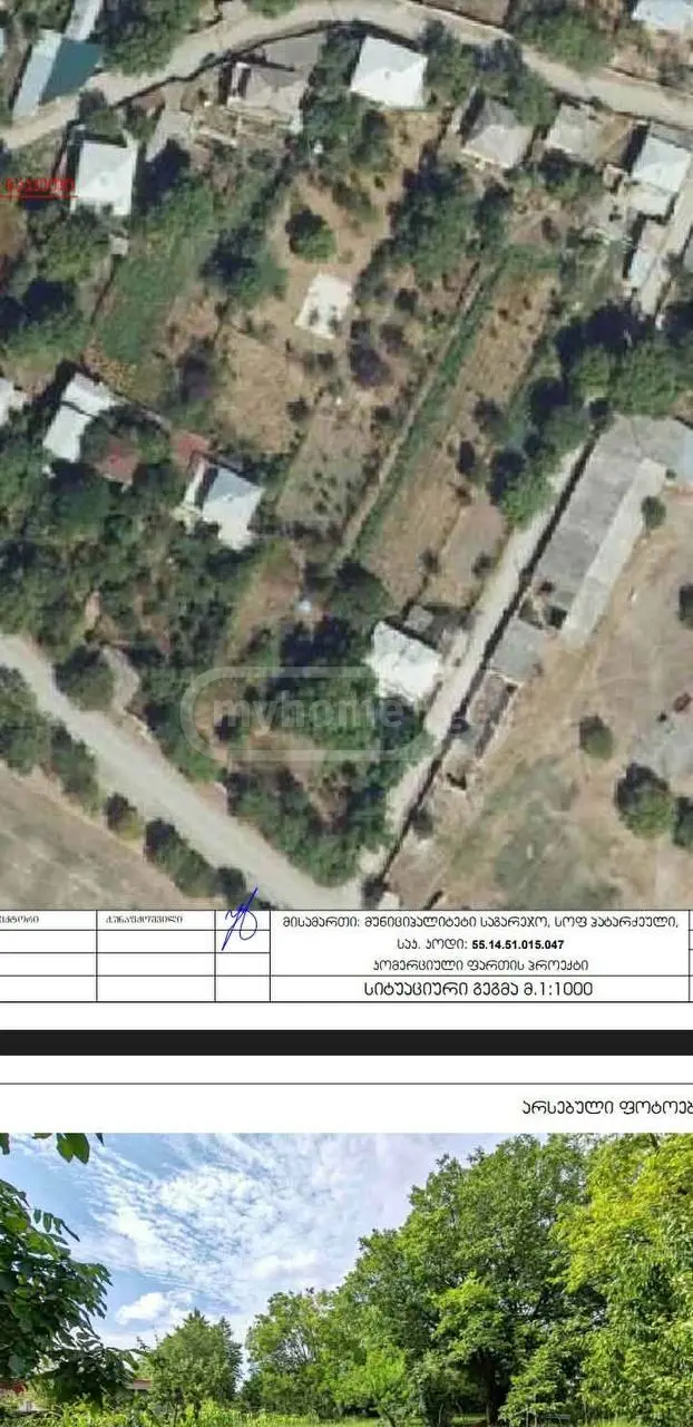 Universal Commercial Area For Rent In Sagarejo view 5