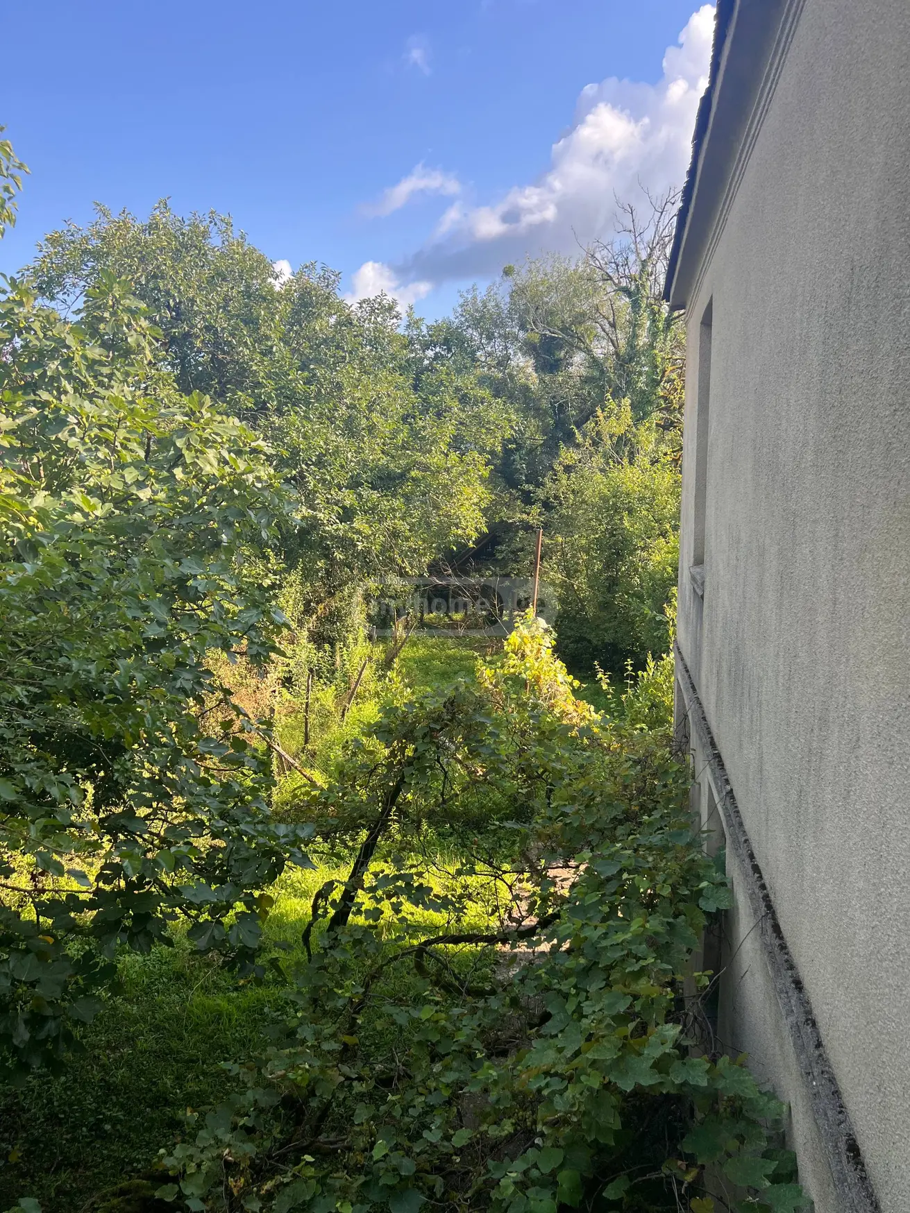 7 Room Private House For Sale view 5