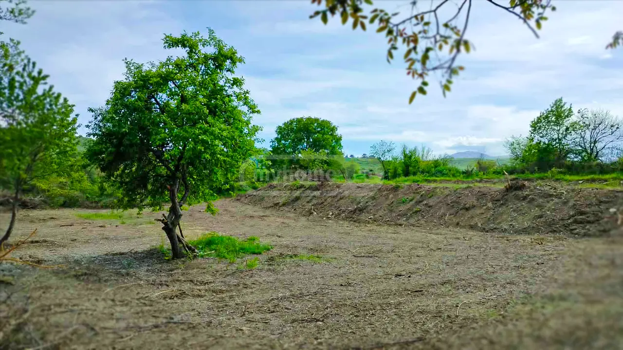 Agricultural Plot For Sale In Mtskheta view 2