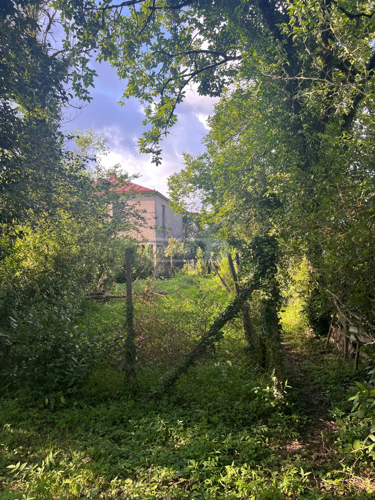 7 Room Private House For Sale view 3