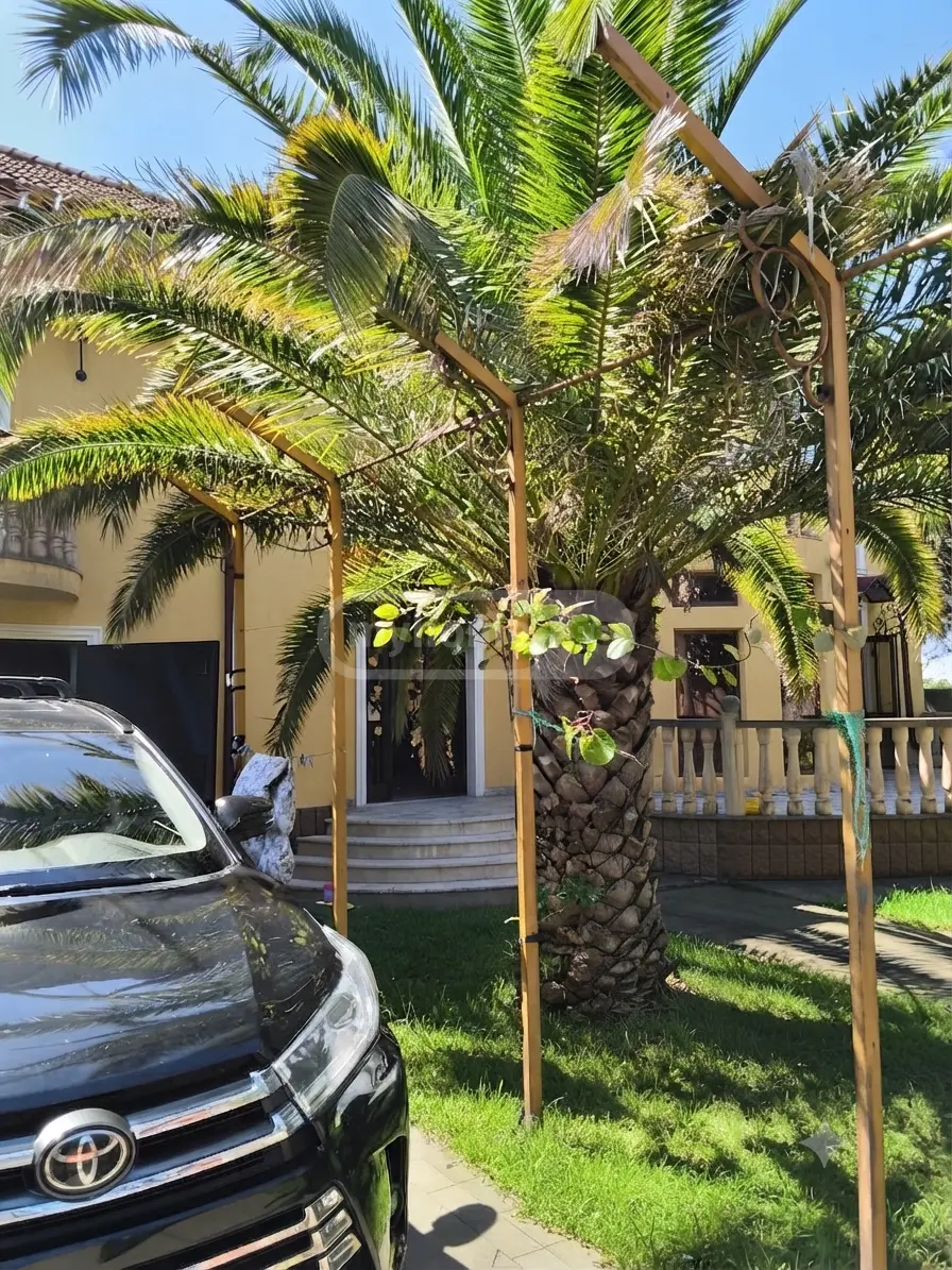 10+ Room Country House For Sale In Lanchkhuti Municipality view 3