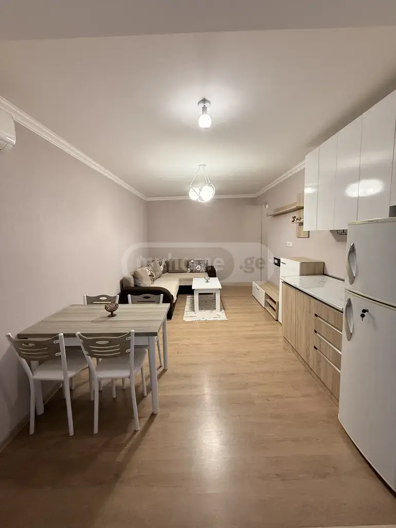 2 Room Apartment For Rent In Digomi view 1