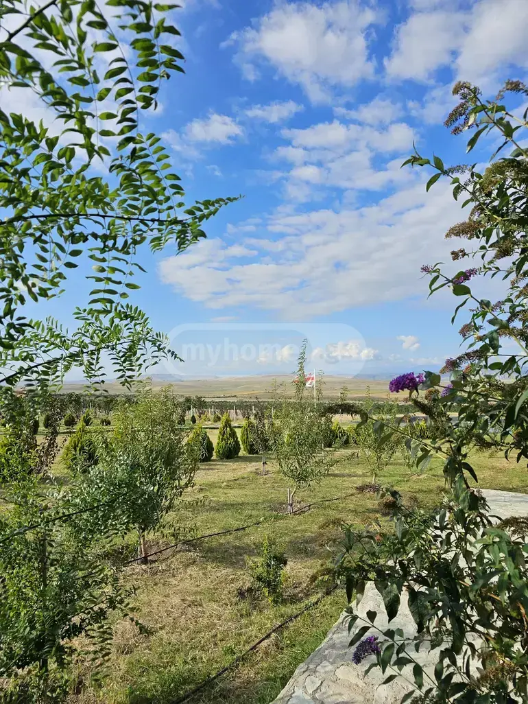 Agricultural Plot For Sale In Noste, In Kaspi Municipality view 3