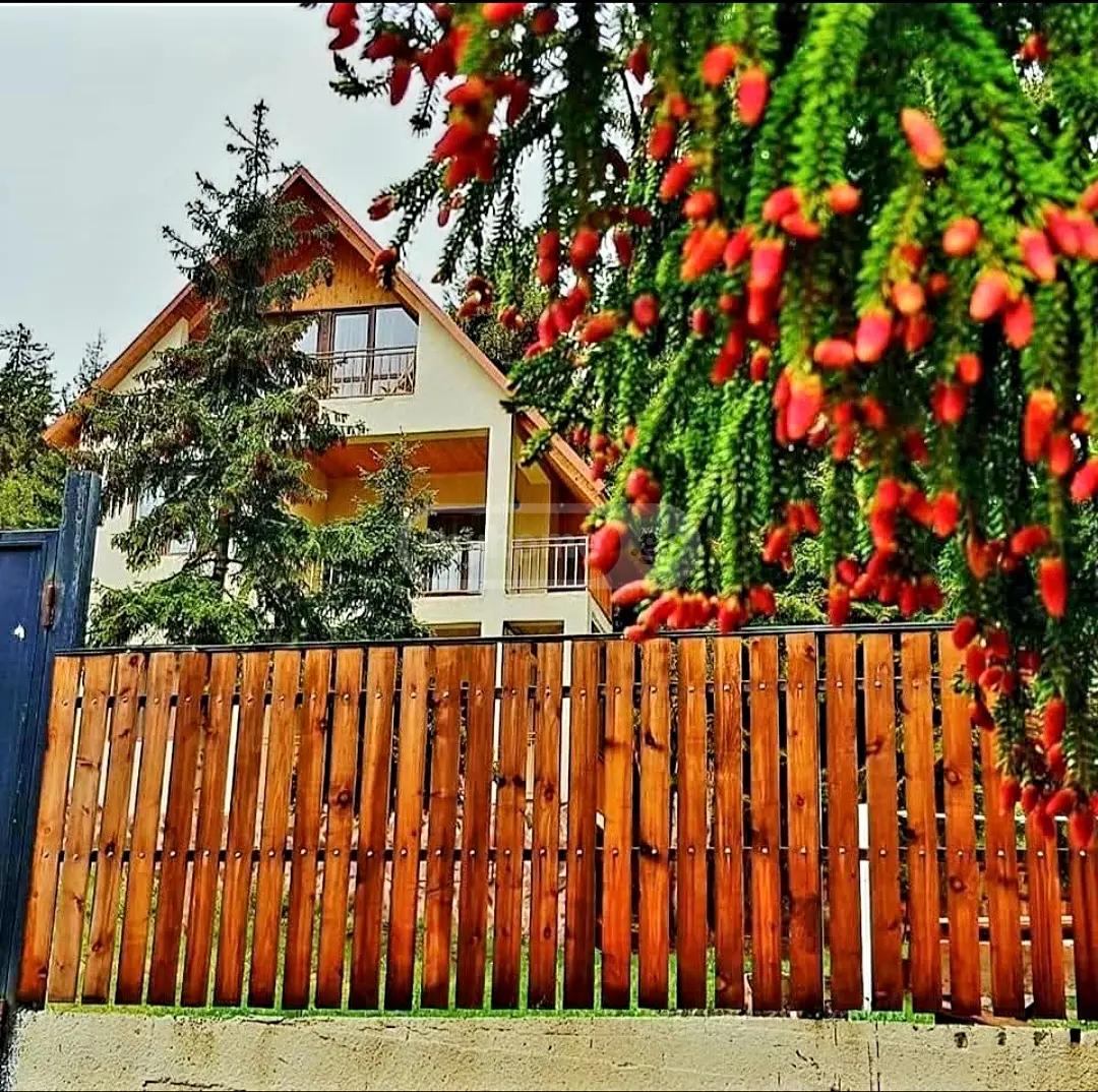 10+ Room Hotel For Sale In Tsemi, In Borjomi Municipality view 12