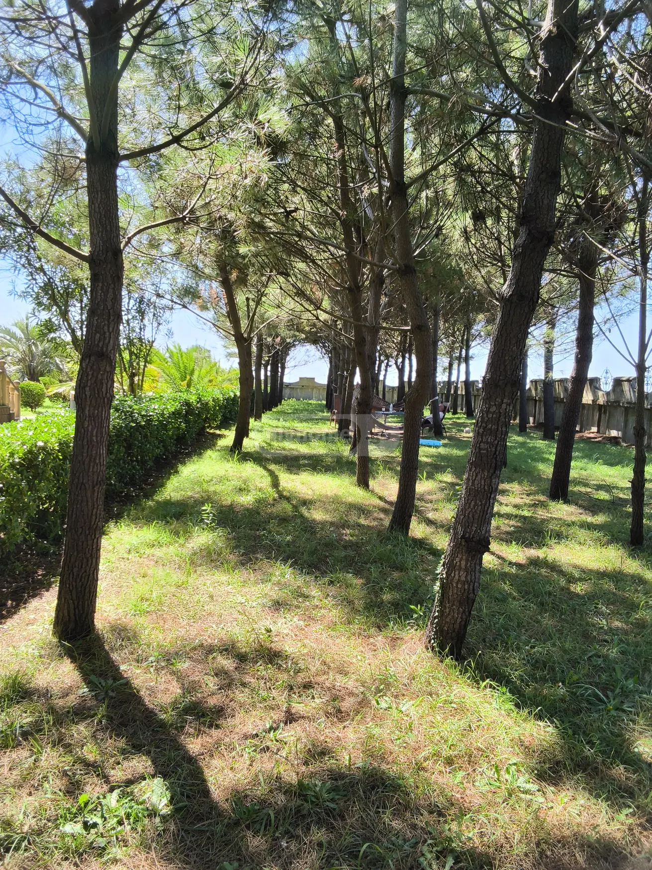 10+ Room Country House For Sale In Lanchkhuti Municipality view 13