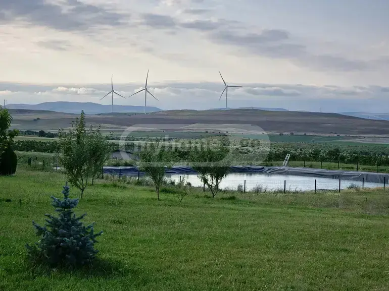 Agricultural Plot For Sale In Noste, In Kaspi Municipality view 2