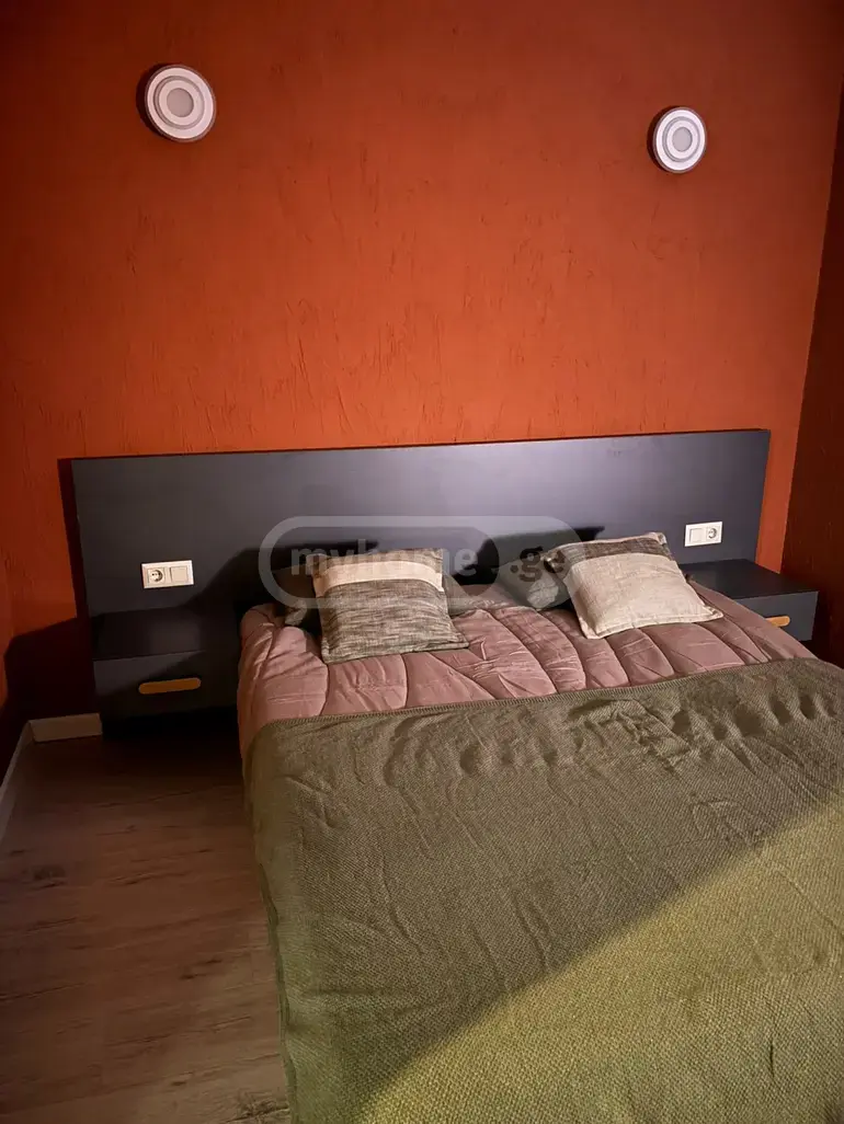 3 Room Apartment For Rent In Digomi view 10