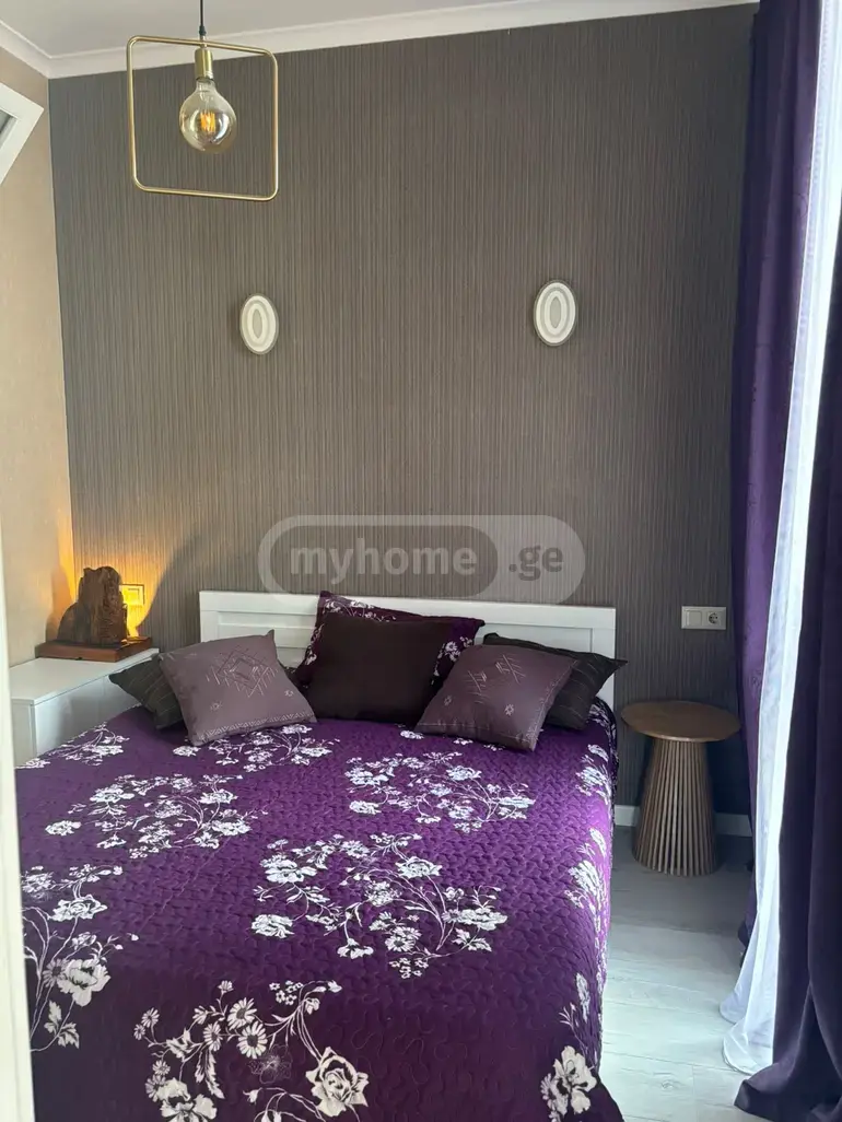3 Room Apartment For Rent In Digomi view 8