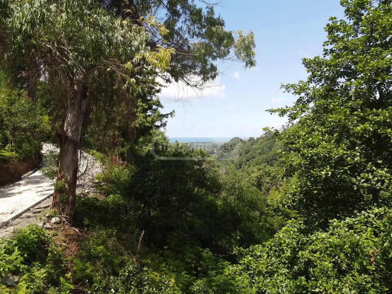 Agricultural Plot For Sale In Gonio, In Khelvachauri Municipality view 3