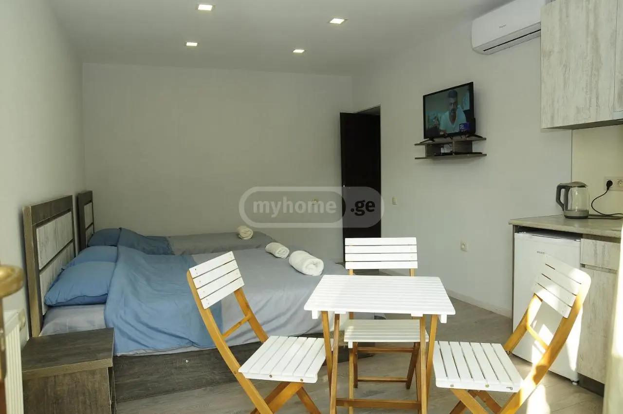 2 Room Hotel Daily Rent In Borjomi view 2